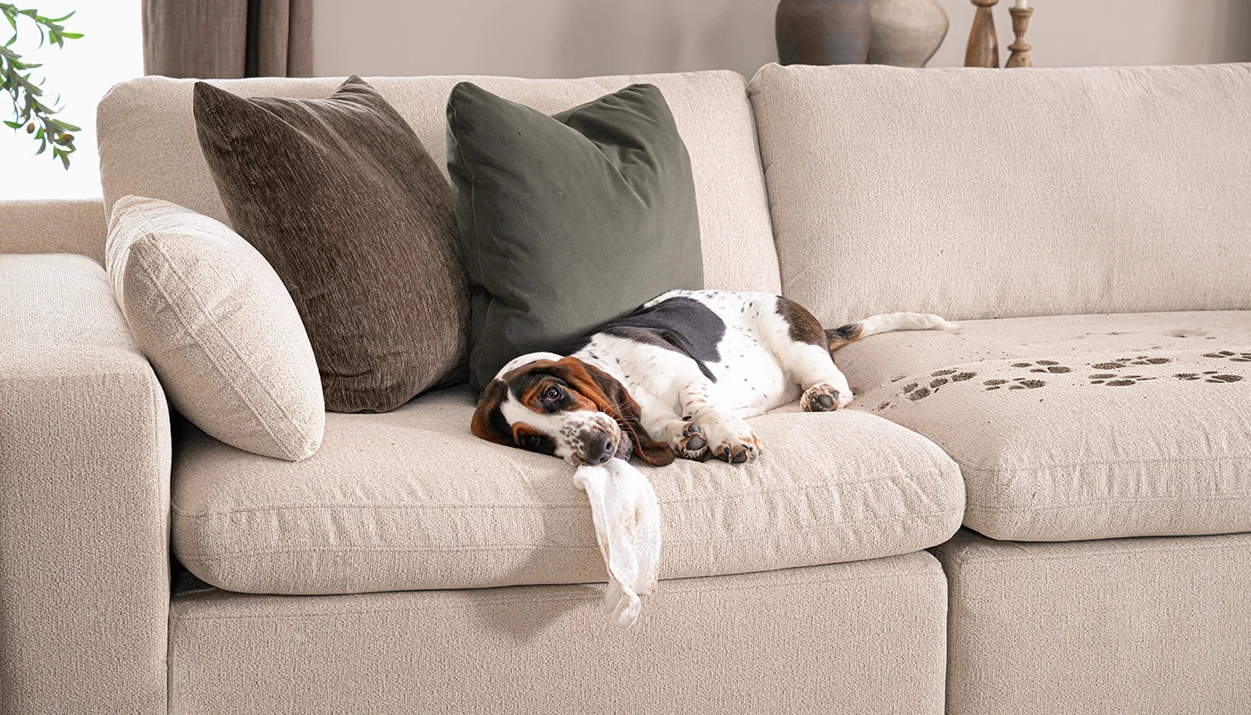 Colin Hero™ Performance Fabric Sectional