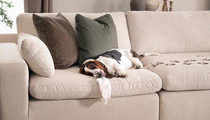 Colin Hero™ Performance Fabric Sectional
