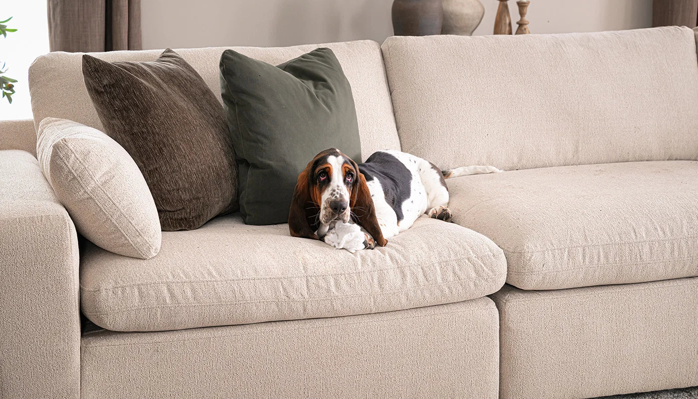 Colin Hero™ Performance Fabric Sectional