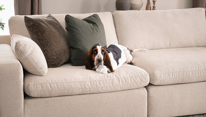 Colin Hero™ Performance Fabric Sectional