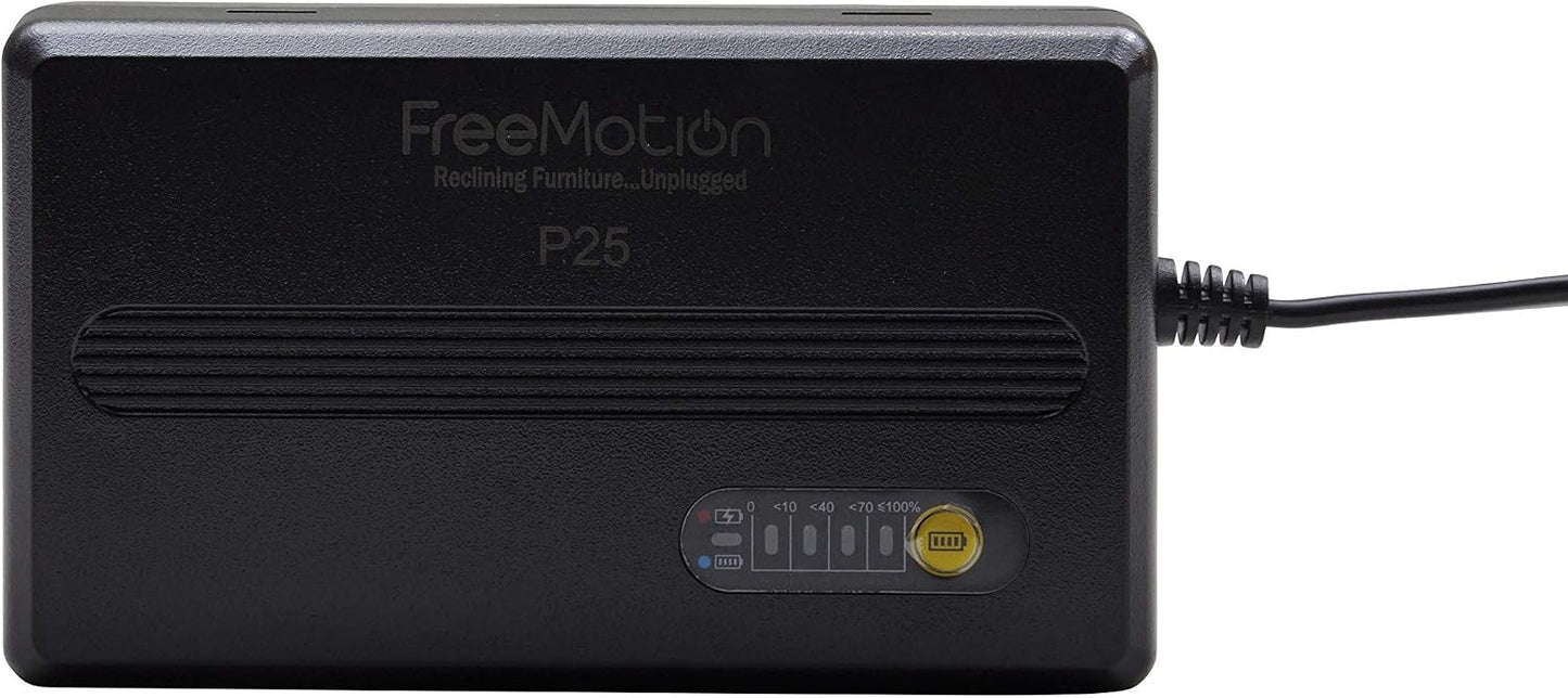 BATTERY PACK P25